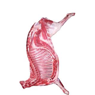 务实清源新鲜羊肉现杀半羊10斤礼盒后腿前腿羊排羊蝎子乳羔羊清真