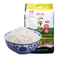 dianyuan 滇园 小毕朗贡米 10kg