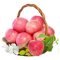 顶端果业陕西延安洛川苹果新鲜时令水果嘎啦苹果礼盒2024年新果 12枚75mm嘎啦苹果礼盒