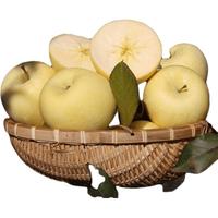 山东烟台栖霞新鲜黄金奶油富士白色苹果冰糖心当季水果牛奶5整箱团建生鲜 2斤