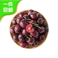 Yankee Candle 扬基 趣尝鲜 智利车厘子 2J 5斤装 28-30mm 新鲜水果源头直发