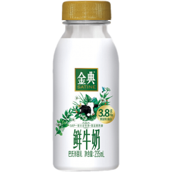 伊利 金典鲜牛奶 3.8g蛋白 235ml*8瓶巴氏杀菌低温牛奶 源头直发 包邮