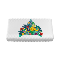 TAIHI 泰嗨 泰象吉祥 高低波浪乳胶枕 40*60*10/12cm