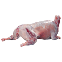 金木兰【抢·20斤羔羊799】金木兰 内蒙新鲜冷冻现杀羔羊20斤整只羊白条 20斤整只发 20斤礼盒装