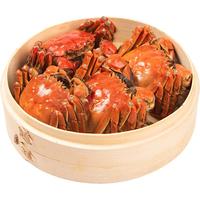 【活蟹】黄河口大闸蟹礼盒全母蟹8只鲜活大闸蟹中秋礼盒中秋 【精挑】全母蟹8只 2.3-2.6两/只