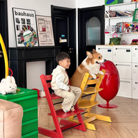 Stokke实木成长椅儿童餐椅婴儿吃饭宝宝学座椅餐桌多功能椅子