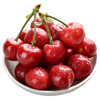 京觅 JJ级 智利车厘子单果28-30mm 2.5kg 礼盒装