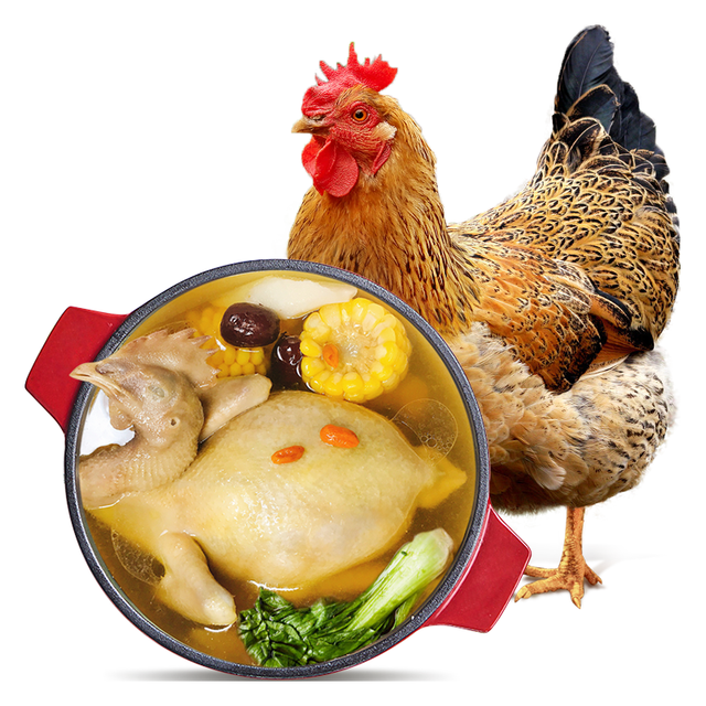 温氏 供港老母鸡 1kg