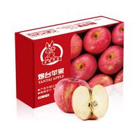 Mr.Seafood 京鲜生 烟台红富士苹果 单果160-190g 2.1kg