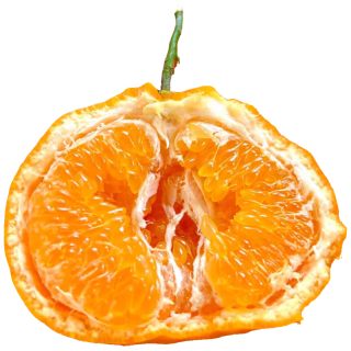 京鲜生 大号四川春见耙耙柑 净重8.5-9斤礼盒装（单果210g+）