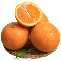 Mr.Seafood 京鲜生 春季黄金果冻橙净重5斤 单果140g起