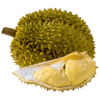 京鲜生 金枕鲜榴莲 巴掌榴莲 1.25-1.75kg 1个装 新鲜水果 源头直发 金枕巴掌榴莲 2斤-3斤