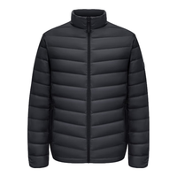 波司登(BOSIDENG)25年春季短款轻薄羽绒服男90绒三防立领保暖外套B250131005 黑色8056-25 L 180/100A