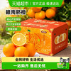 本来果坊 江西赣南早橙脐橙新鲜水果特大果手剥甜橙子产地直发现摘
