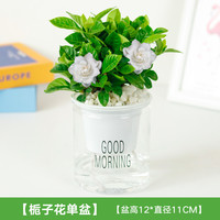 梵花拾光 1112 绿萝盆栽 20厘米 栀子花（吸水盆）送雨花石