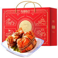 【活蟹】阳澄联合大闸蟹鲜活公6.0-6.3两 母4.5-4.8两 5对10只去绳足重螃蟹海鲜礼盒