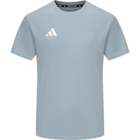 阿迪达斯 adidas短袖男2024款夏季运动亲肤透气轻薄速干T恤 雾霾蓝/白 M 