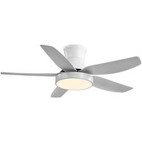 雷士 NVC Lighting照明 618提前购plus专享:雷士 NVC Lighting照明 风扇灯 42寸直流变频(限时15分钟)