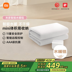 MIJIA 米家 MJSNT048H 智能水暖毯 180*200cm