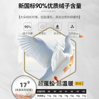 SHANSHAN杉杉鹅绒衬衫男2025秋冬商务简约加绒加厚保暖男士长袖衬衣上衣服 蓝色 42