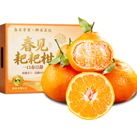 四叔公果蔬 四川春见耙耙柑粑粑柑橘子橘桔礼盒年货礼盒水果礼盒装 5斤装净4.5 9A精选果