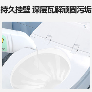 绿之源 GREEN SOURCFE马桶清洁剂 洁厕液 洁厕灵厕所除菌除臭除异味强力剂家清