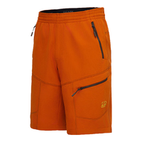 奥索卡 OZARK GEAROZARK男士弹力短裤 夏季徒步登山舒适快干休闲短裤 207348 肉桂棕-456 XL/180