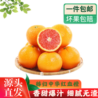 酷果汇 湖北秭归中华红血橙子当季新鲜水果红心脐甜橙现摘5/9斤 净重4.5-5斤