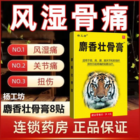 杨工坊 麝香壮骨膏 8贴/盒  5盒装