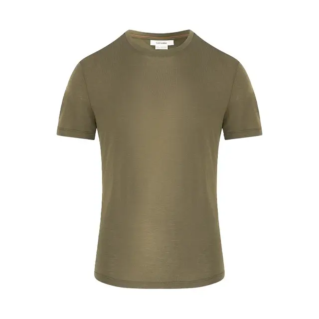 icebreaker春夏美利奴羊毛男Core 速干T恤短袖户外跑步徒步