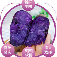 紫土豆黑土豆黑金刚新鲜紫色洋芋马铃薯黑美人迷你小土豆蔬菜