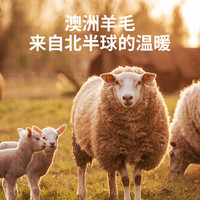 ROMON罗蒙澳洲进口羊毛被100%纯羊毛被子冬季被芯加厚保暖 【冬被】 100%澳洲羊毛被 【200*230】