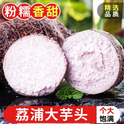 探味君 TANWEIJUN 广西荔浦大芋头 现挖粉糯大香芋 新鲜蔬菜 3斤净重2.8斤 中芋（单果250g起）