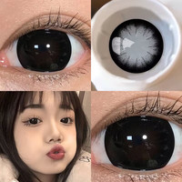 自然美 美瞳年抛2片装2025纽约蓝色纯欲大直径混血水润隐形眼镜女生 小美目黑14.0(一副两片装+盒) 225度