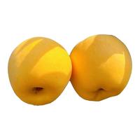 粤迎维纳斯黄金苹果山东苹果新鲜当季水果可吃时令水果脆甜多汁 10斤【单果220g+】净9斤