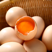 本草康GB2749 新鲜鸡蛋 生态散养  优质蛋白 源头直发单枚45g-60g 小初产蛋15枚