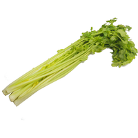 蔬果哆 马家沟芹菜 2kg