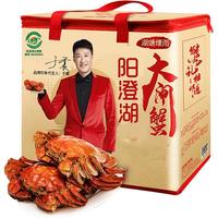 【活蟹】湖塘煙雨 阳澄湖大闸蟹鲜活螃蟹生鲜礼盒海鲜全母蟹4.0两8只源头直发