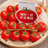 沱沱工社 京鲜生 串串樱桃小番茄450g*2盒