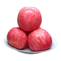 顶端果业 洛川红富士苹果 20枚 4.5kg 礼盒装