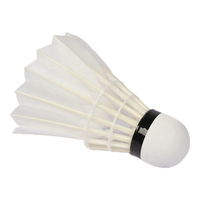 RSL 亚狮龙 经典系列 RSL10 羽毛球 10号 77速 12只装