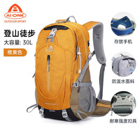 艾王 AIONE 专业户外登山包 9674B 30L