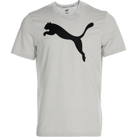 PUMA彪马 ACTIVE Big Logo Tee 2024夏男子运动休闲短袖圆领T恤 685638-09 L
