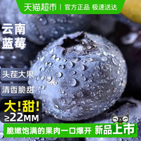移动端、88VIP：寻天果蔬 云南蓝莓正宗国产新鲜蓝莓王巨无霸当季水果自带花香整箱大果