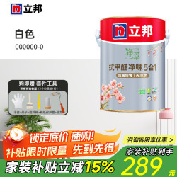立邦 乳胶纯白色 5L*1件