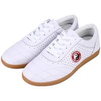 红棉太极拳鞋夏季透气真皮牛筋底女男武术练功鞋太极拳运动鞋子 白色透气LP005-1 37