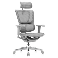 Ergonor 保友办公家具 优旗舰版 人体工学电脑椅 灰色+银白色