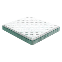 Sleemon 喜临门 光年PLUS 2.0 抗菌防螨床垫 150*190*23cm