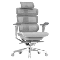 Ergomax 迩高迈思 Evolution2 PROMAX 人体工学椅 雅典灰