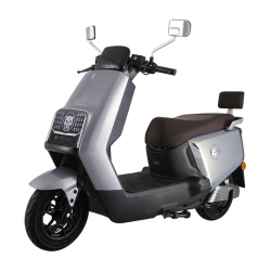 五星钻豹 NX 电动摩托车 ZB1200DT-46A 星木灰